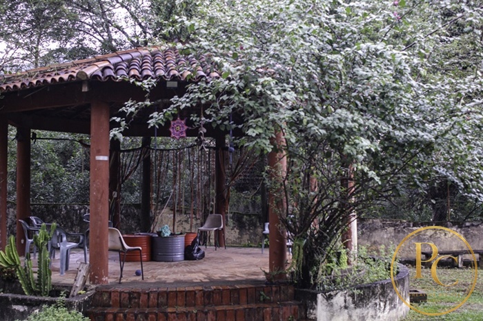 Entre Muros e Vozes — fotografia 3