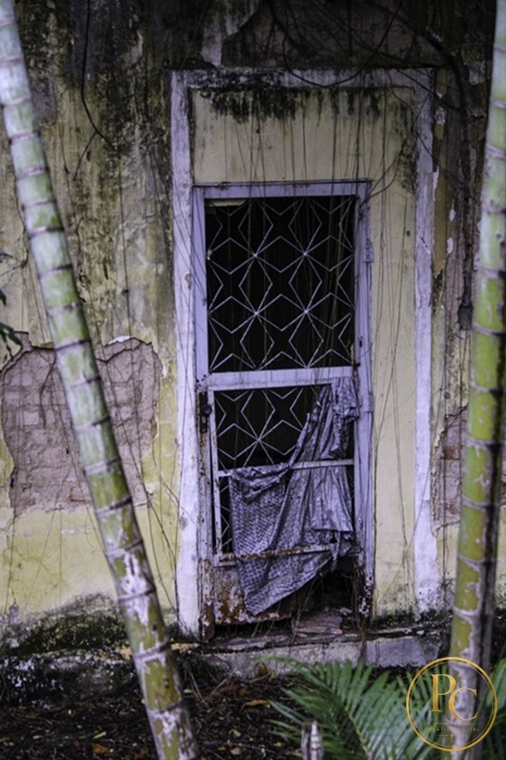 Entre Muros e Vozes — fotografia 4