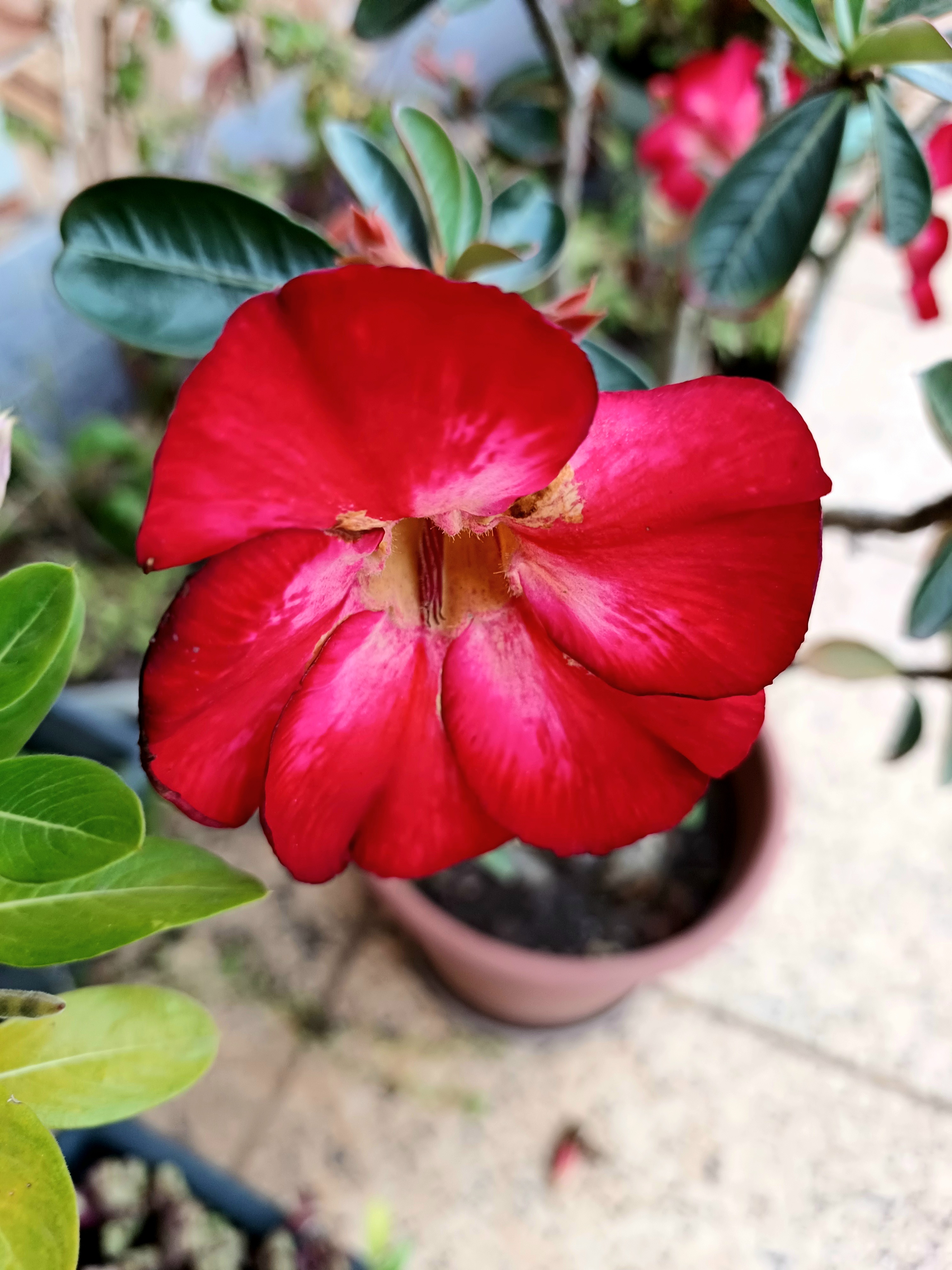 Natureza em Foco